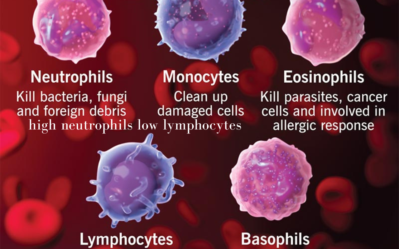high neutrophils low lymphocytes