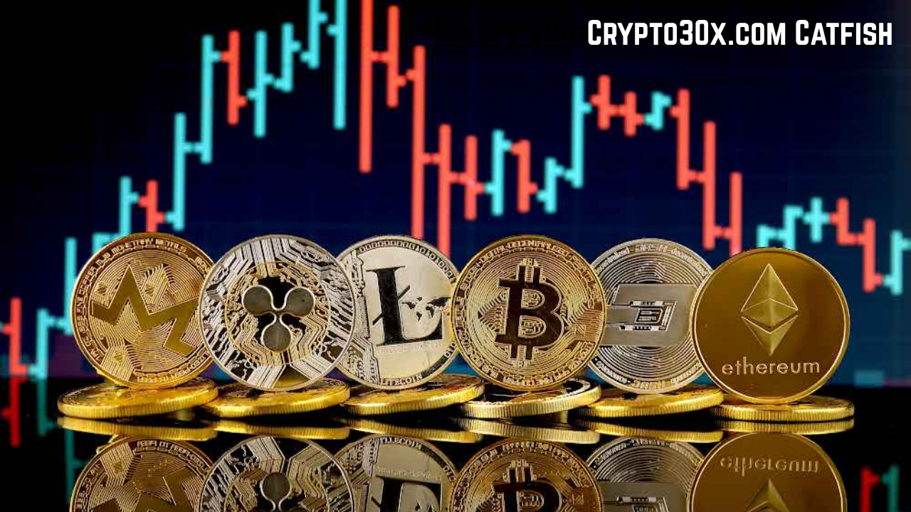Crypto30x.com Catfish